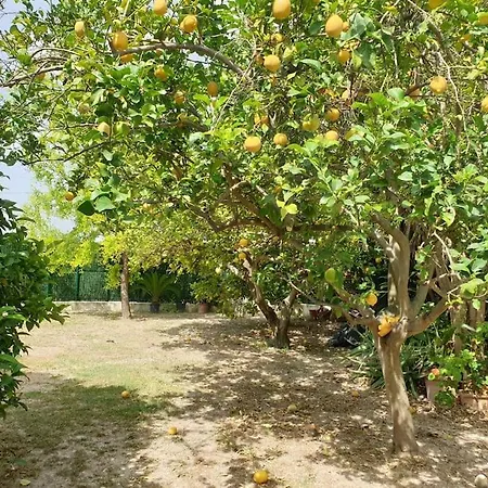 Casa Juanita Montgo