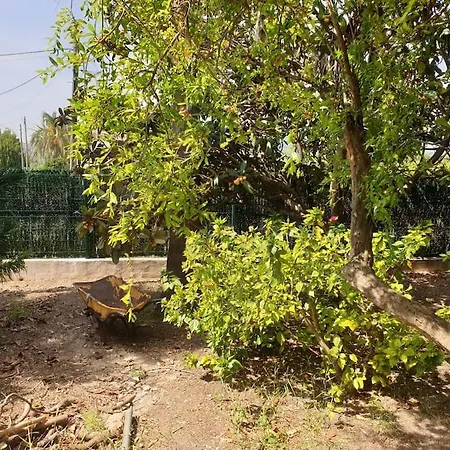 Casa Juanita Montgó